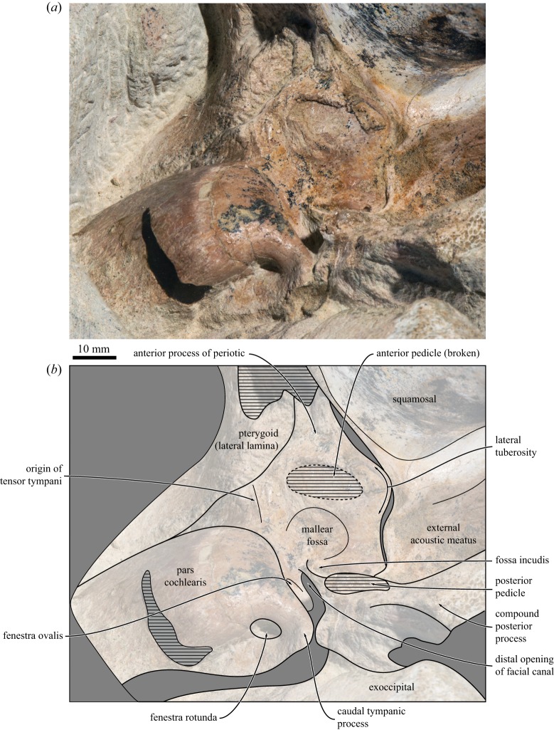 Figure 10.