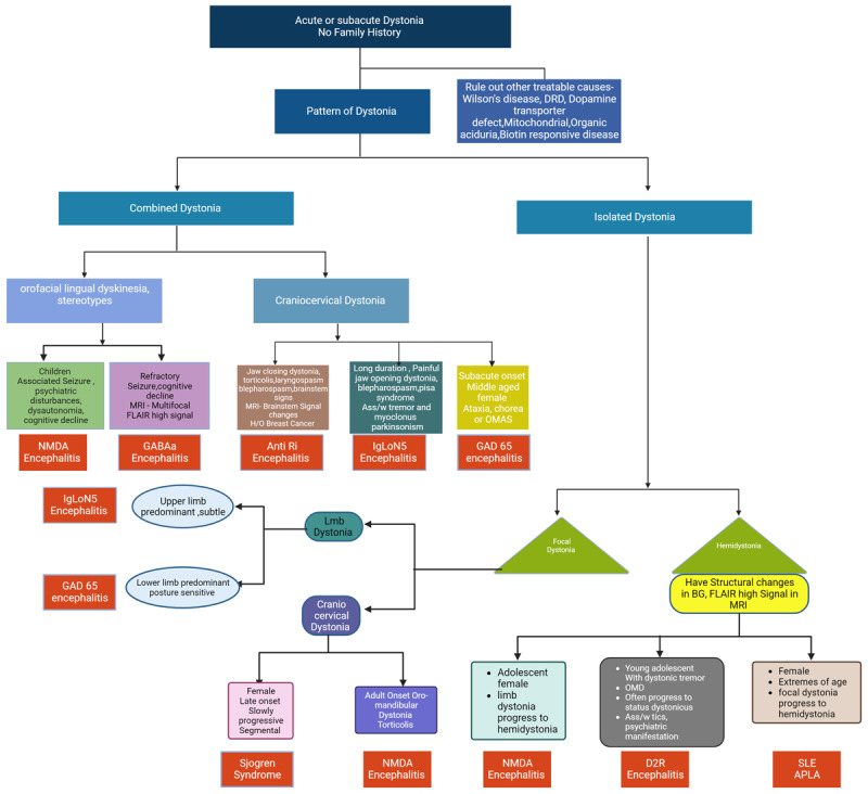 A clinical approach to acute/subacute onset autoimmune dystonia