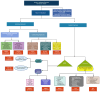 A clinical approach to acute/subacute onset autoimmune dystonia