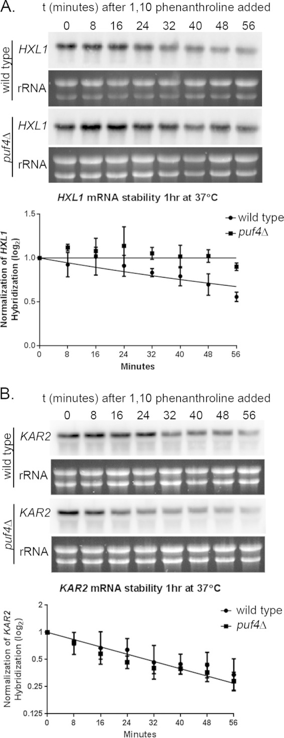 FIG 6