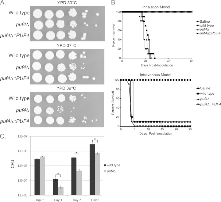 FIG 8