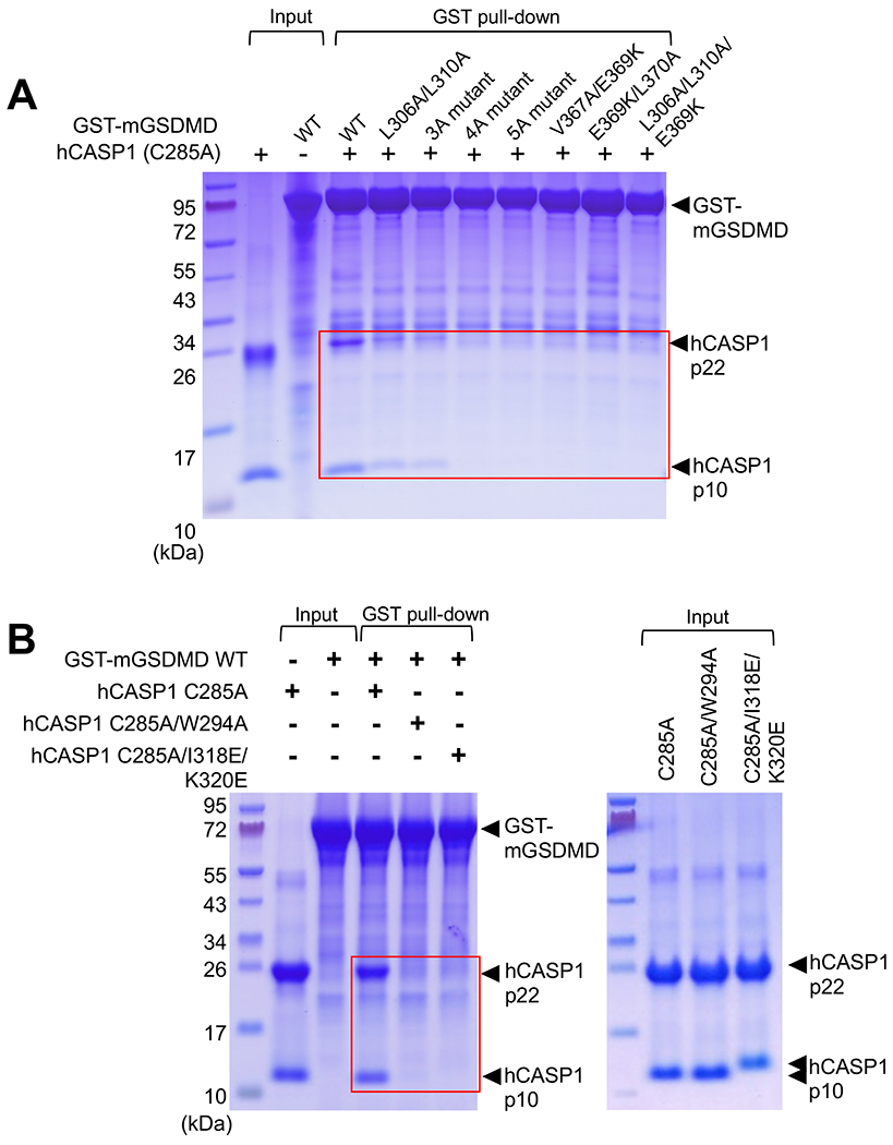 Figure 4.