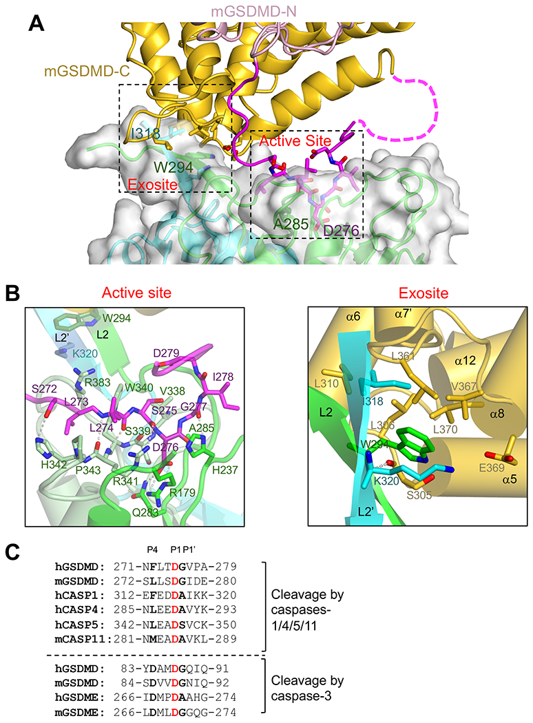 Figure 3.