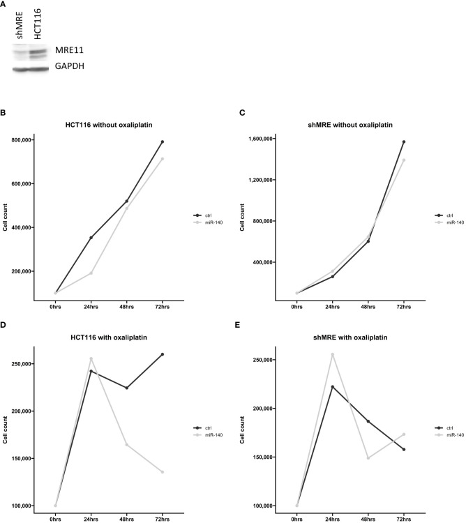 Figure 7