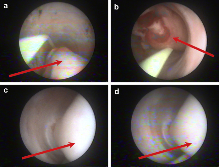 Figure 2