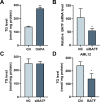 Figure 1—figure supplement 1.