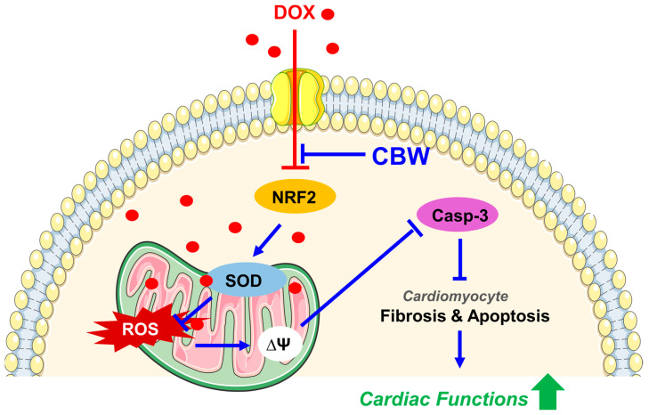 Figure 7