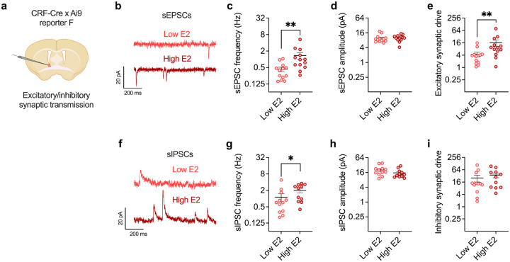 Fig. 2: