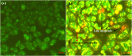 Fig. 9