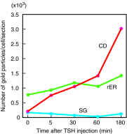 <b>FIG. 5.</b>