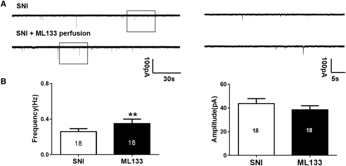 Fig. 6