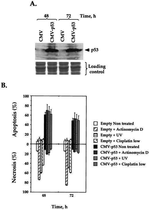 FIG. 7