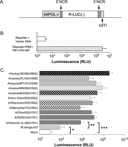 FIG. 1.