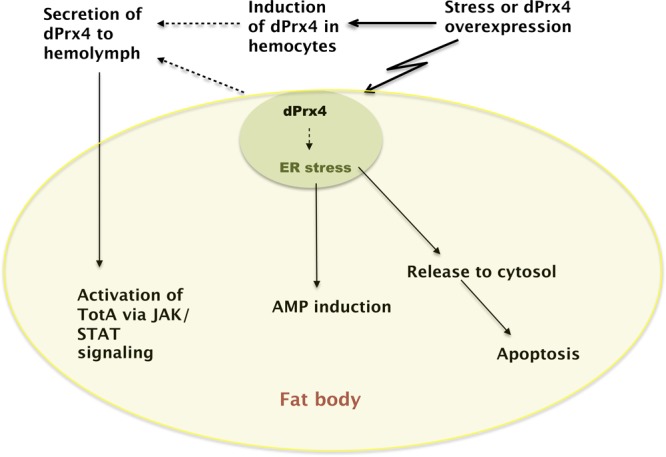 Figure 13.