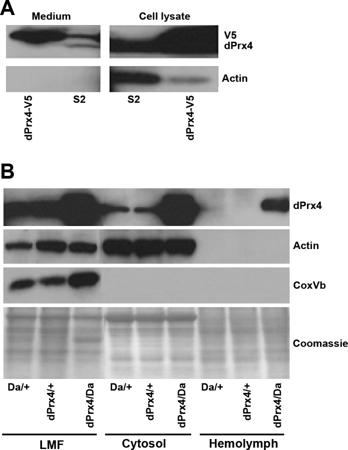 Figure 5.