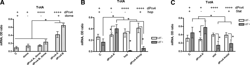 Figure 10.