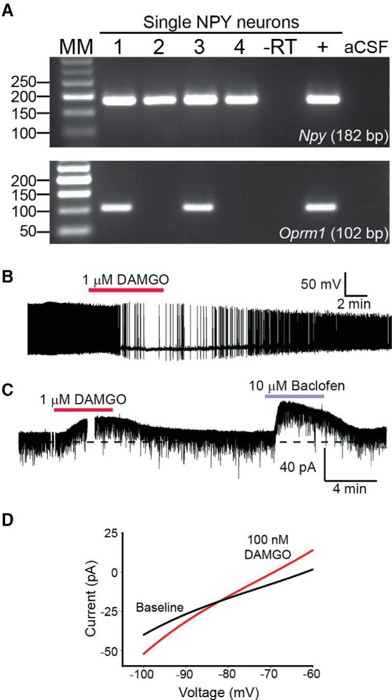 Figure 7.