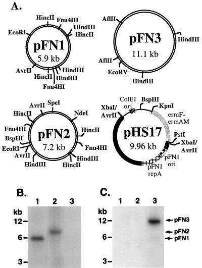 FIG. 1