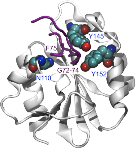 FIGURE 1.