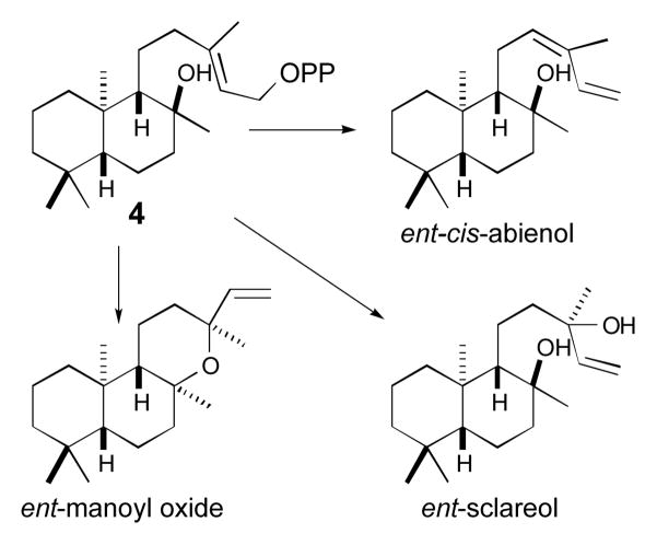 Scheme 3