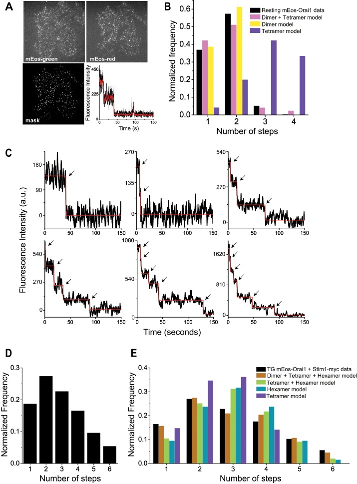 FIGURE 1: