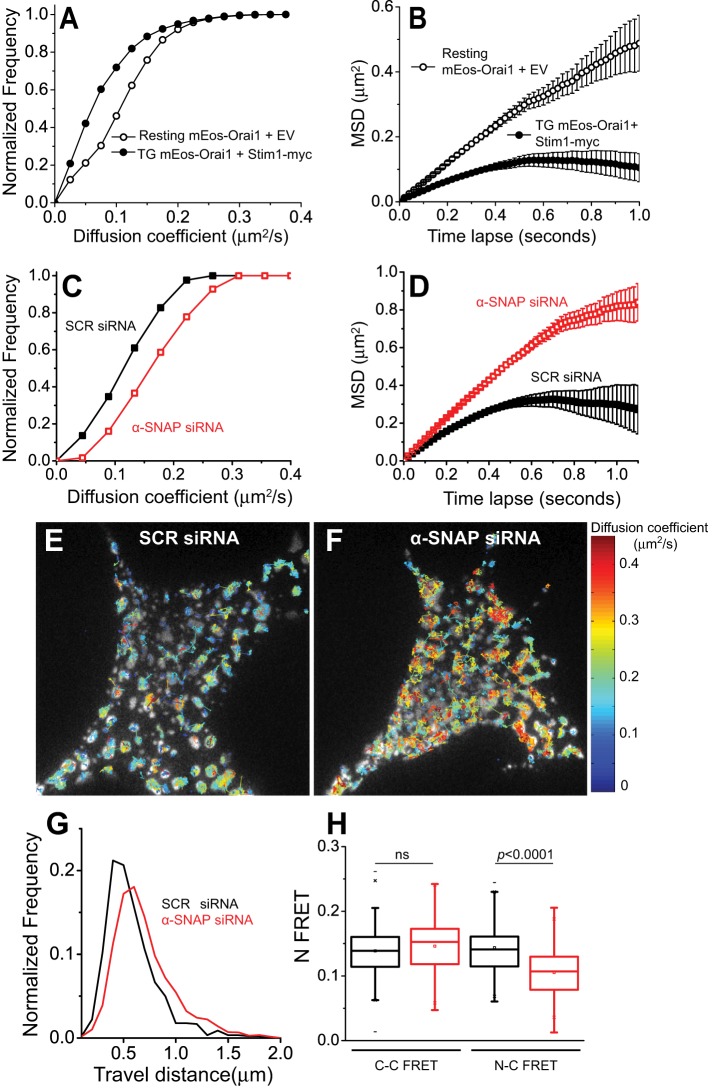 FIGURE 5: