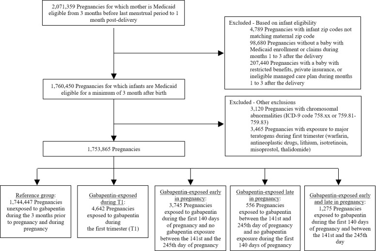 gabapentin and pregnancy