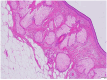 Fig. 8