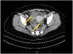 Fig. 9