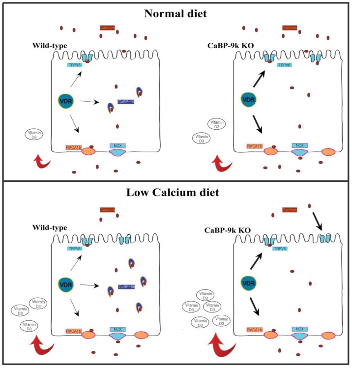 Figure 3.