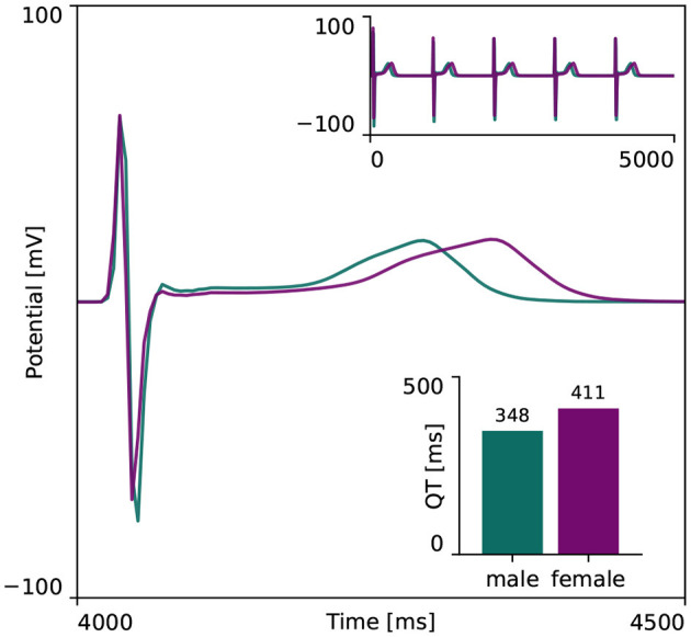 Figure 5