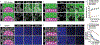 Extended Data Fig. 2 ∣