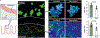 Extended Data Fig. 5 ∣