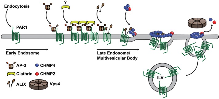 FIGURE 9: