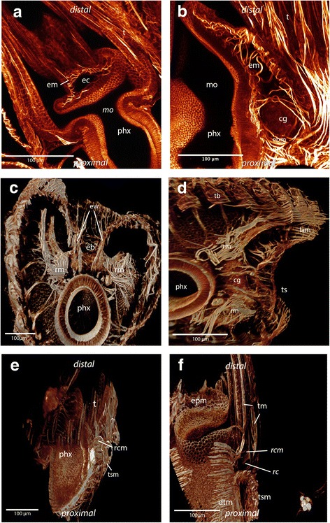 Fig. 8