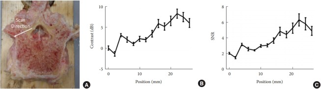 Fig. 16.