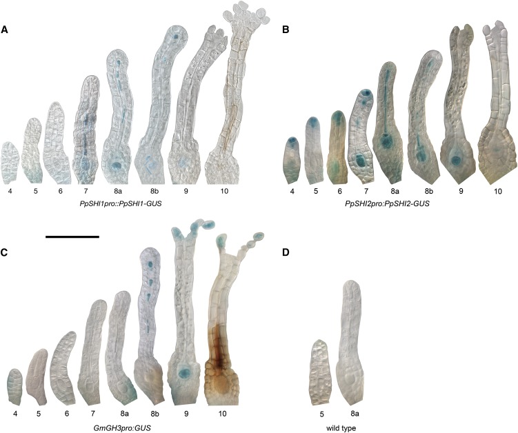 Figure 4.