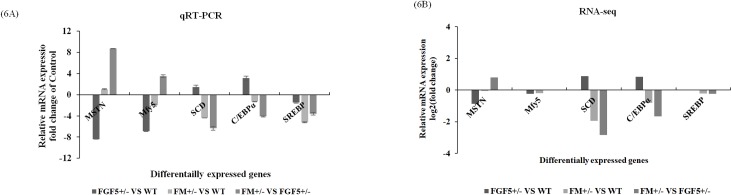 Fig 6