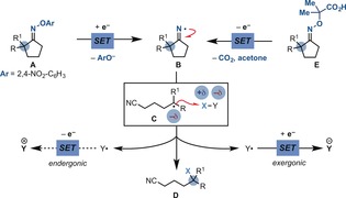 Scheme 2