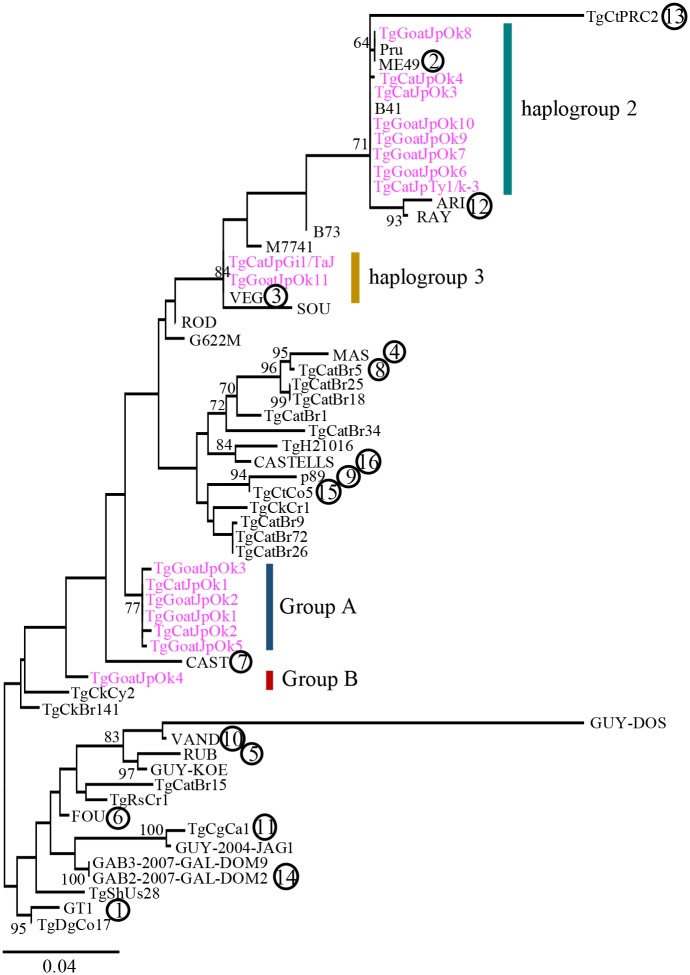 Fig 1