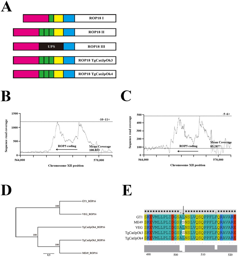 Fig 4