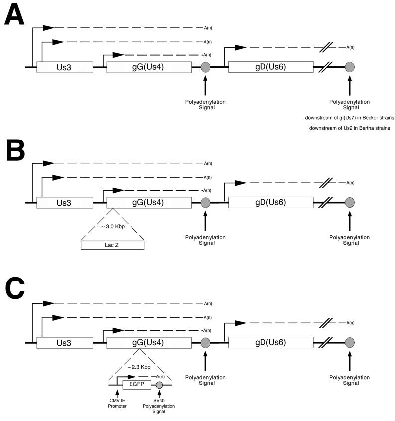 FIG. 5