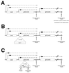 FIG. 5