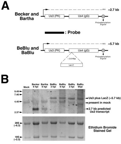 FIG. 6