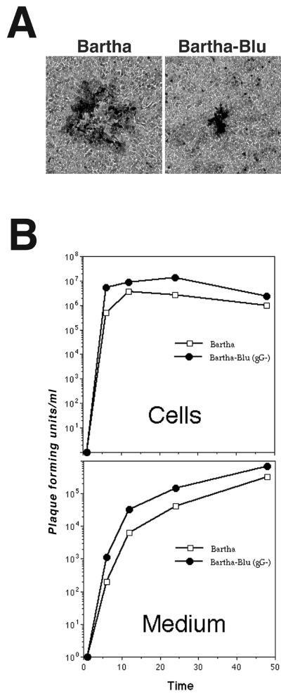 FIG. 3