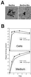 FIG. 3