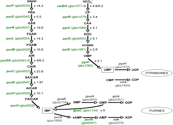 Figure 7