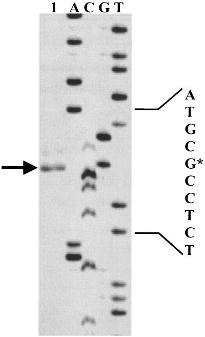 FIG. 3.