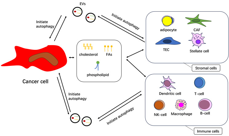 graphic file with name 12935_2024_3481_Figa_HTML.jpg