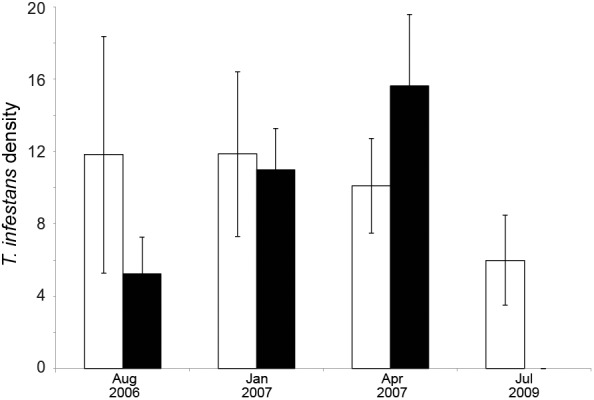 Fig. 5: